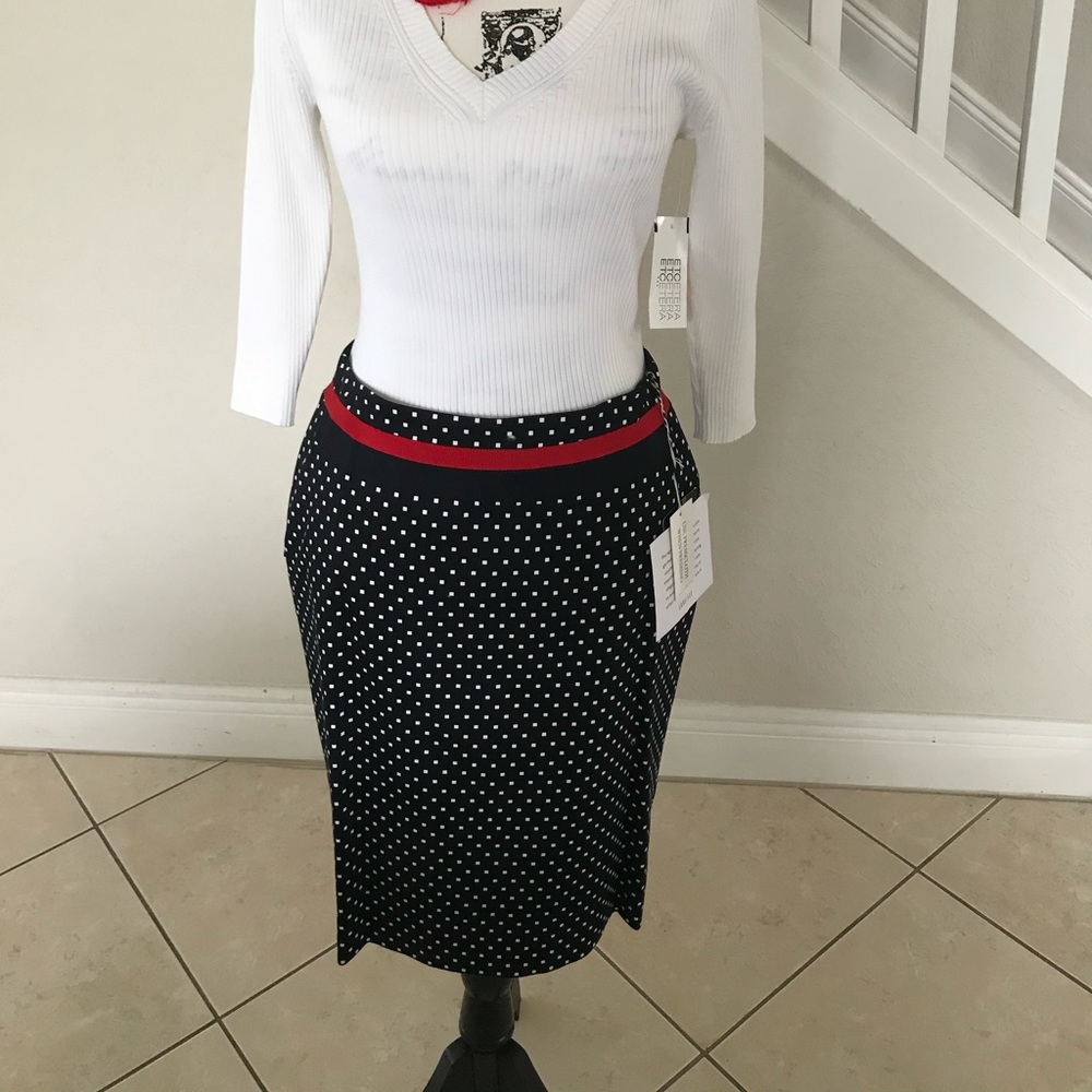 NWT Carlisle square dot skirt